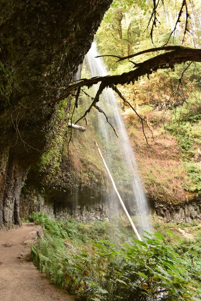 Middle North Falls - Silver Falls SP