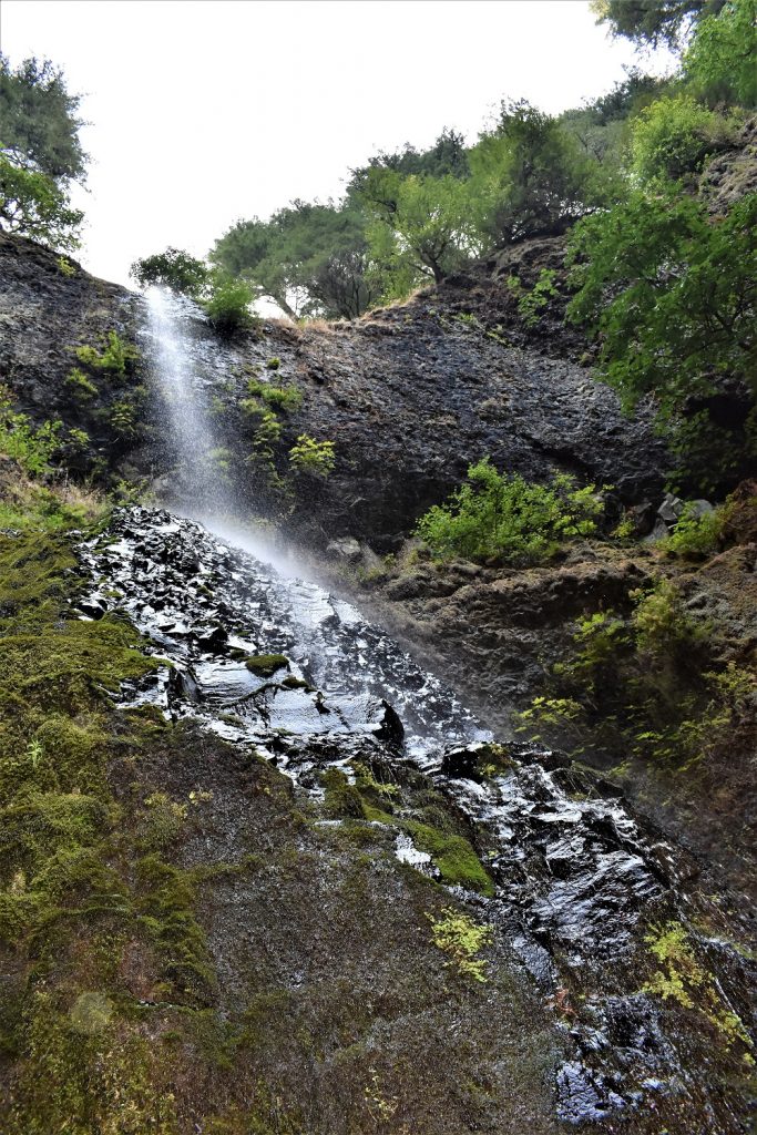 Double Falls - SIlver Falls SP