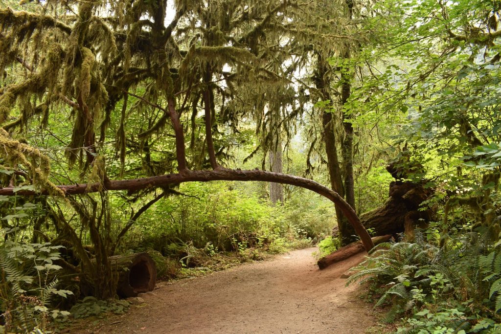 Ten Falls Trail Oregon