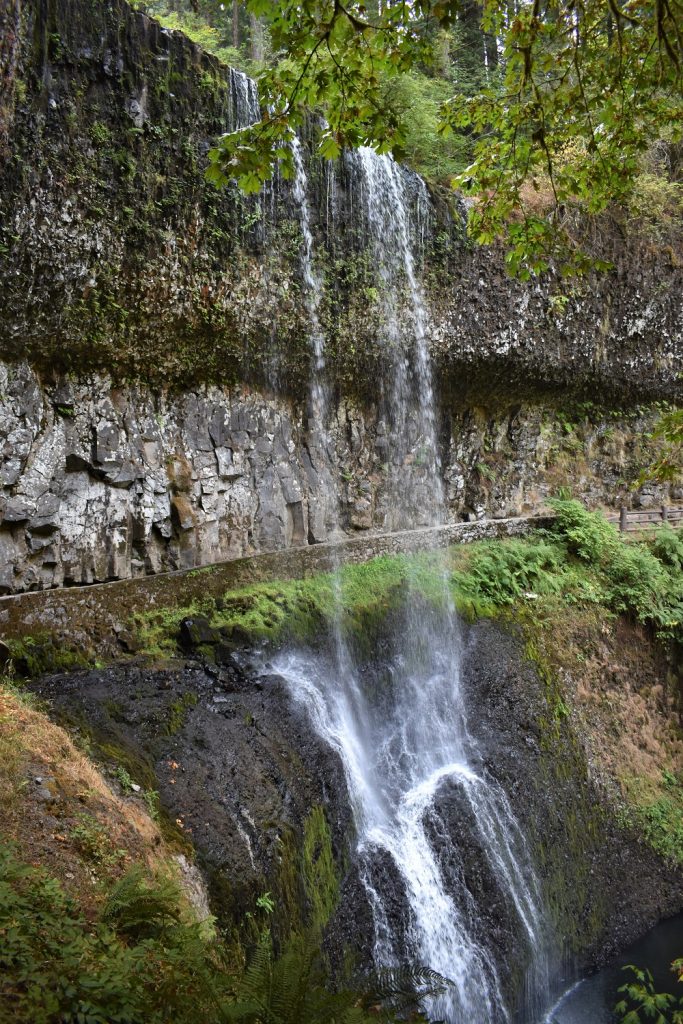 Lower South Falls - Silver Falls SP