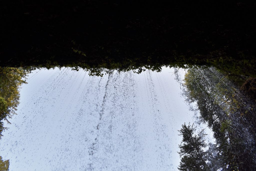 Lower South Falls - Silver Falls SP