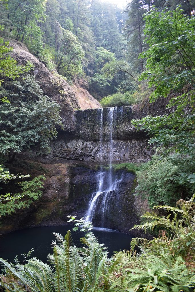Lower South Falls - Silver Falls SP