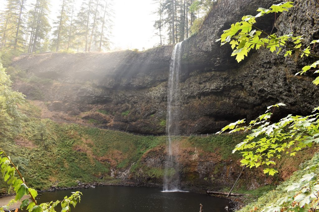 South Falls - SIlver Falls SP