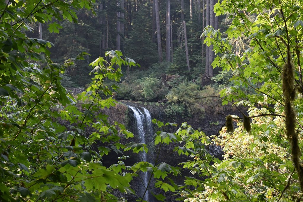 South Falls - Silver Falls SP