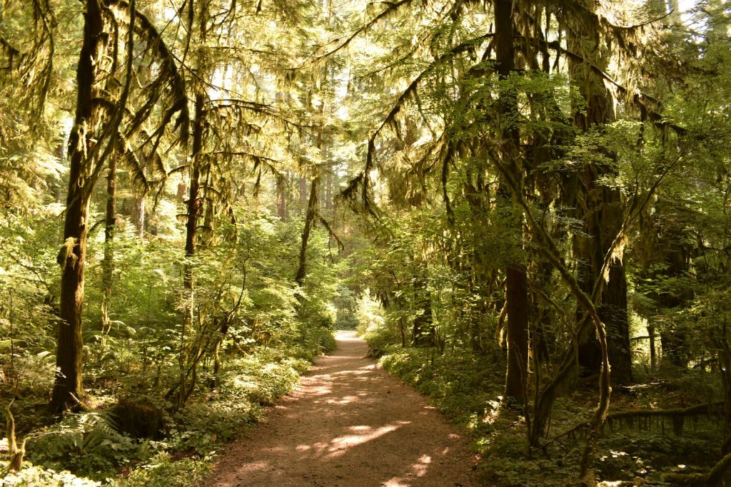 Silver Falls State Park