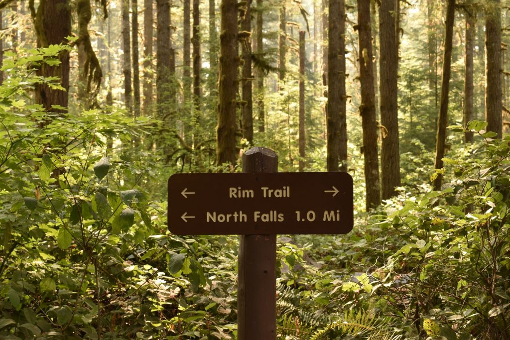 Silver Falls State Park