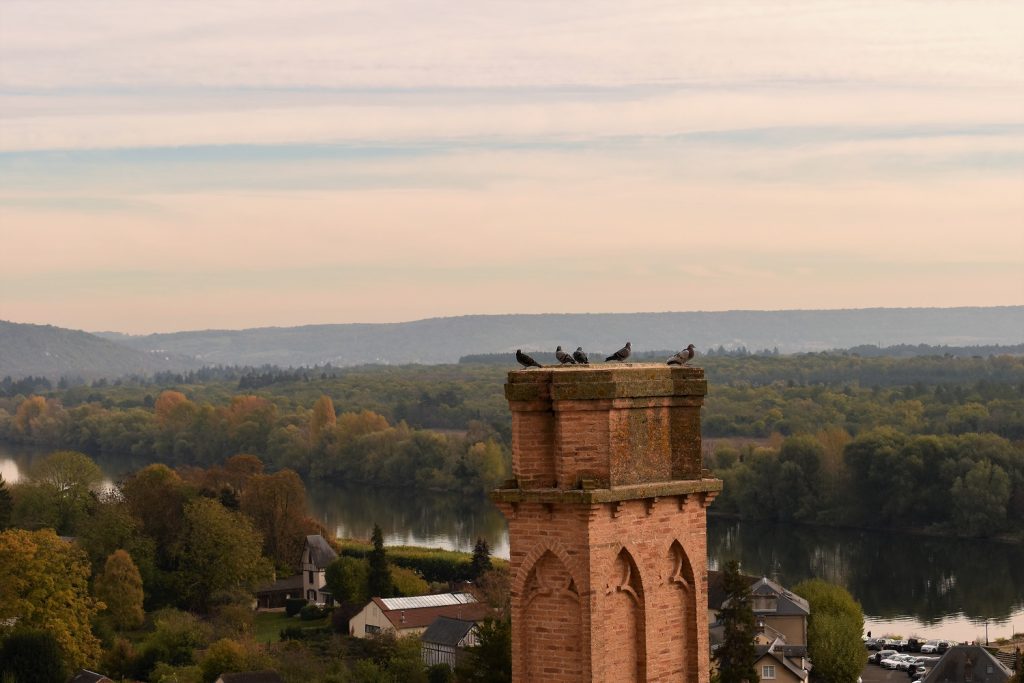 Château de La Roche Guyon