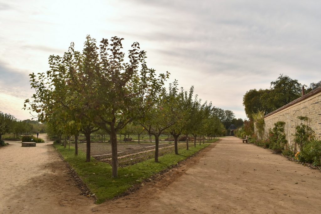 Jardins botaniques et fruitiers La Roche Guyon