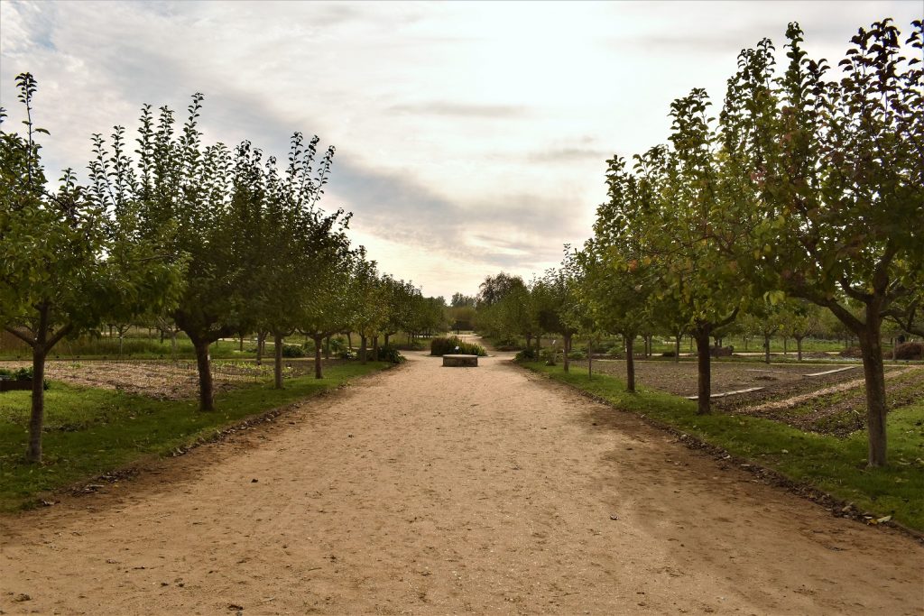 Jardins botaniques et fruitiers La Roche Guyon