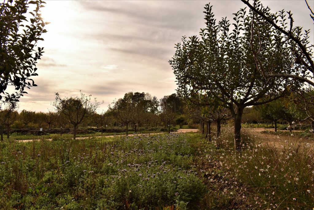 Jardins botaniques et fruitiers La Roche Guyon