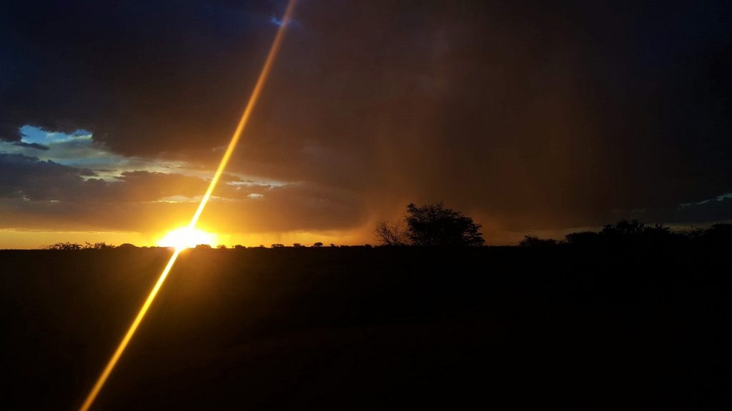 Kalahari Namibie