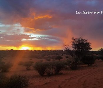 Désert du Kalahari