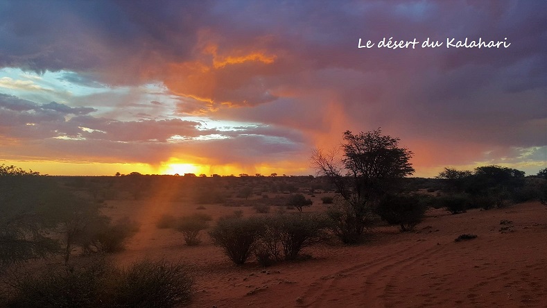 Désert du Kalahari