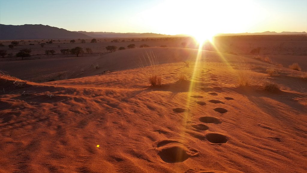 Sunrise Greenfire Desert Lodge