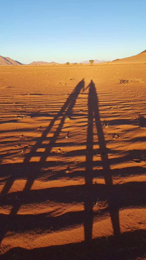 Sunrise Greenfire Desert Lodge