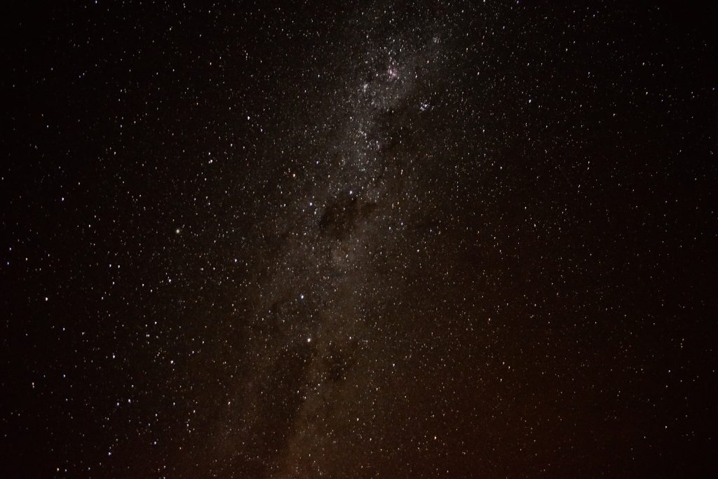 Milkyway Camp Gecko Namibia