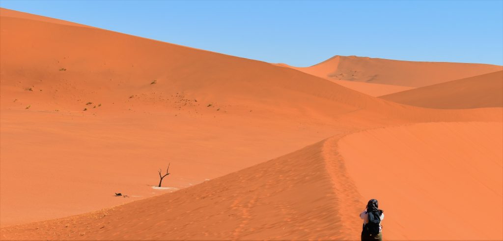 Deadvlei Namibie