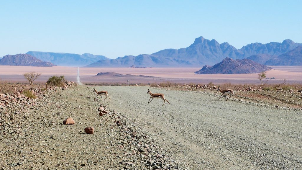 Désert du Namib