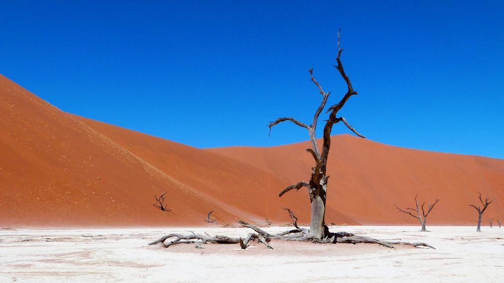 Deadvlei Namibie