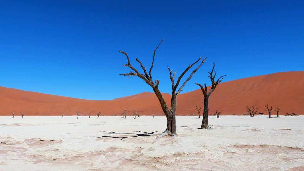 Deadvlei