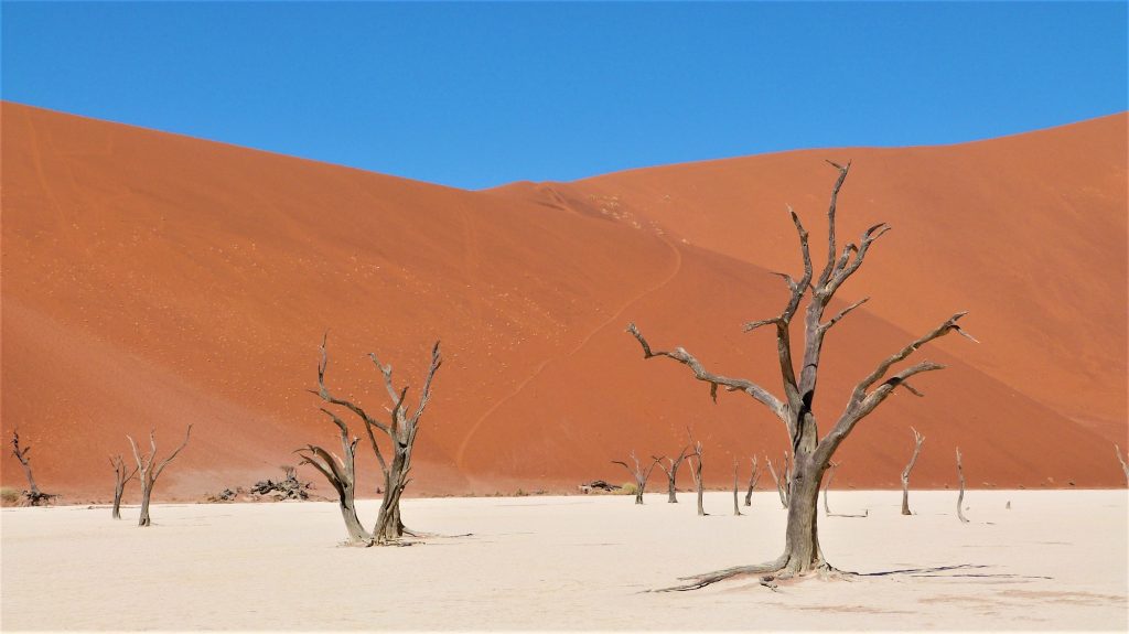 Deadvlei Big Daddy