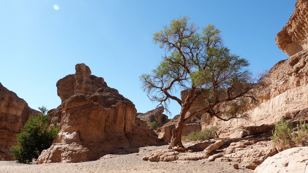 Sesriem Canyon