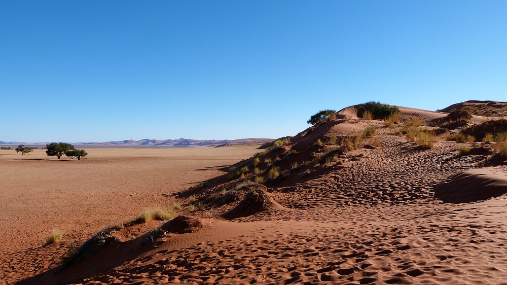 Dune d'Elim