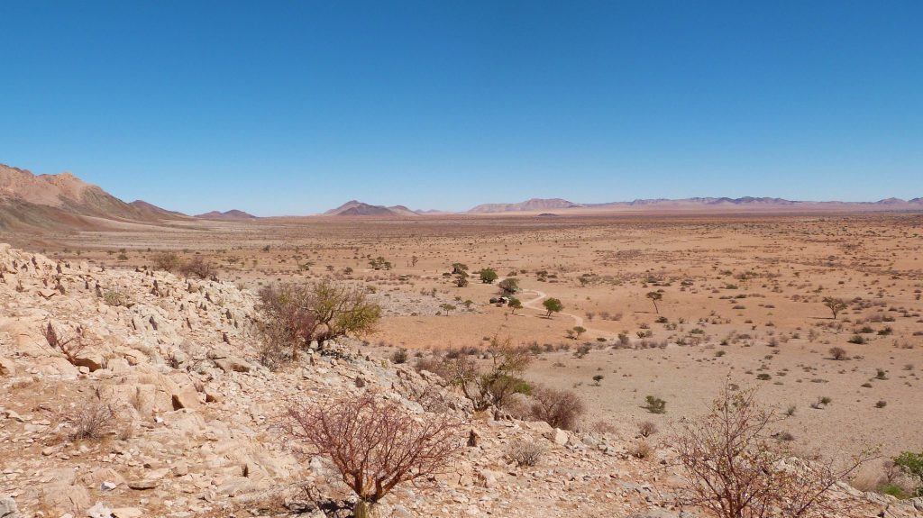 Camp Gecko Namibia