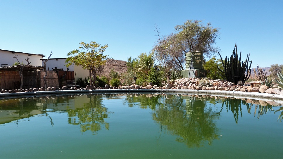 Camp Gecko pool