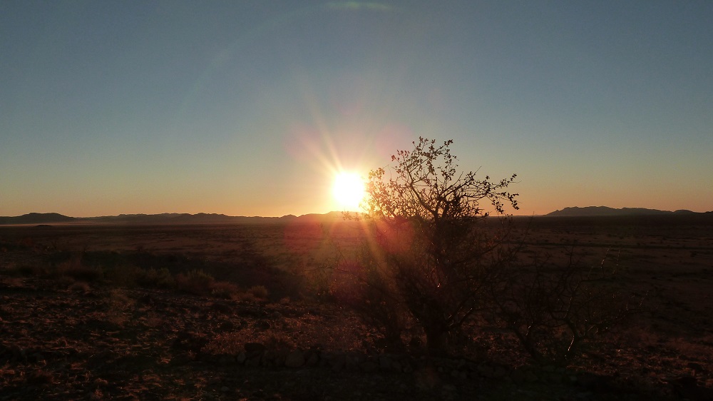 Camp Gecko Namibia