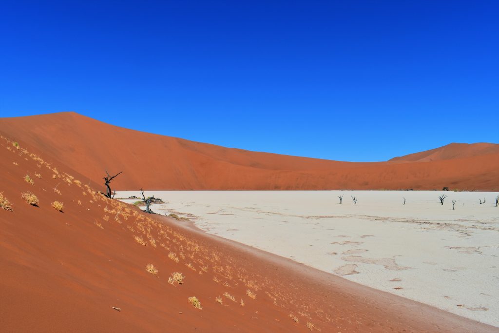 Deadvlei
