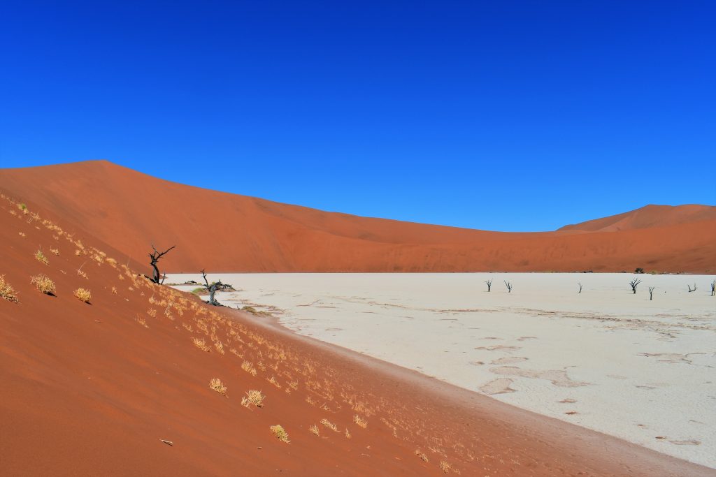 Deadvlei