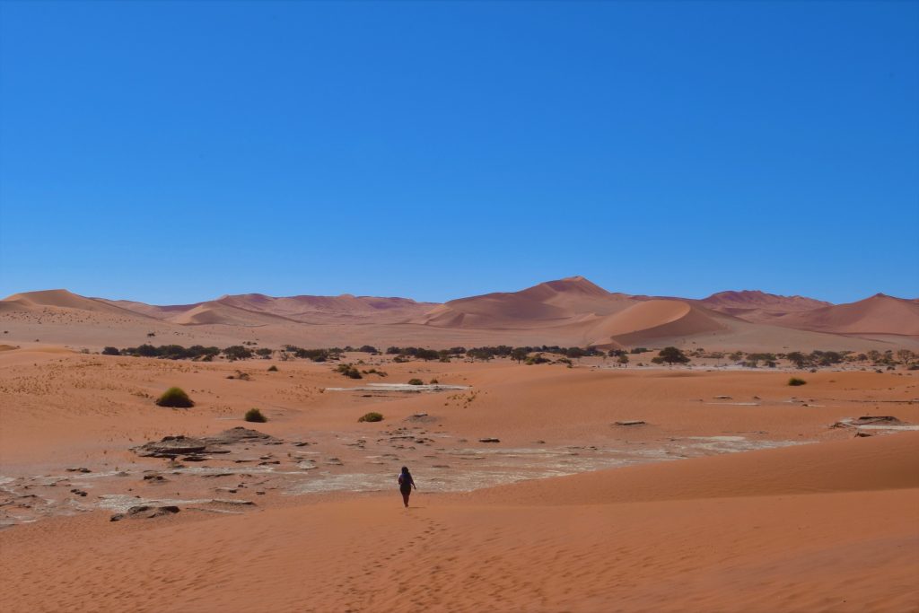 Deadvlei Bid Mamma