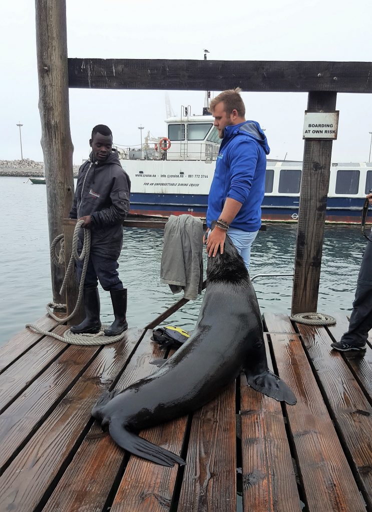 Walvis Bay