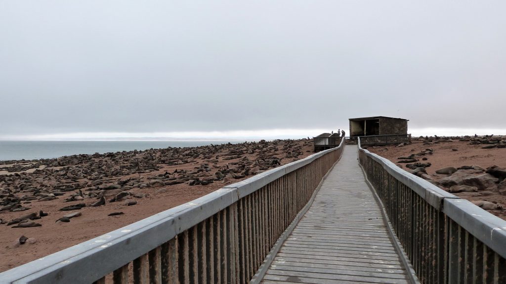 Cape Cross