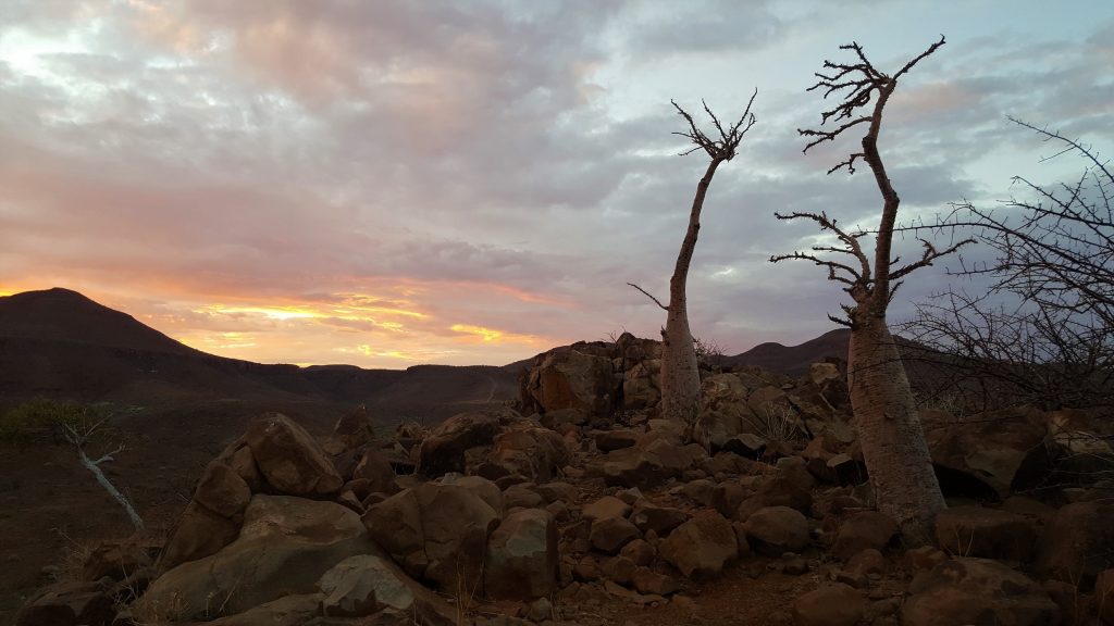 Etendeka Mountain Camp