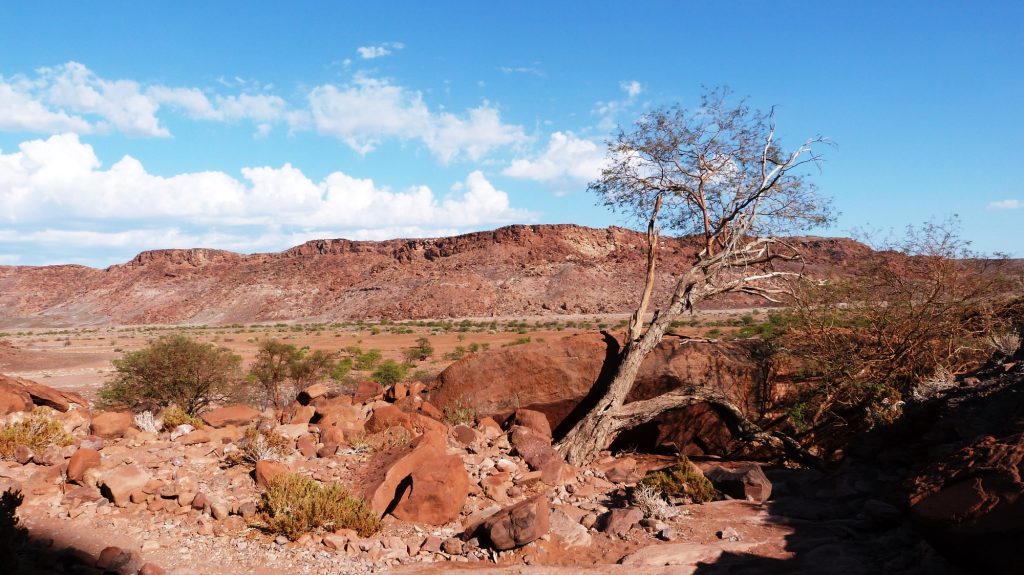 Twyfelfontein