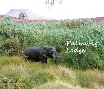 Palmwag Lodge