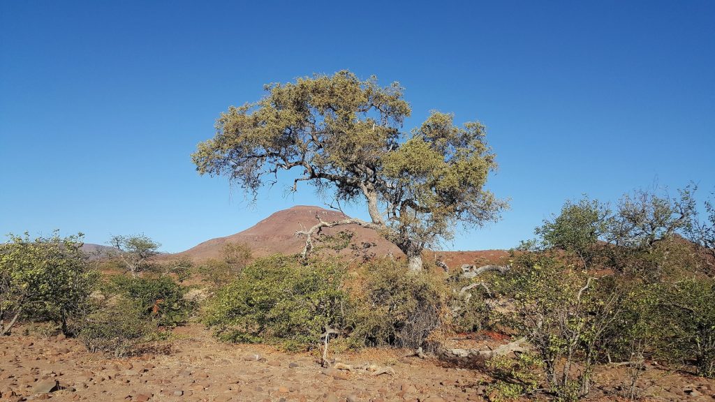 Etendeka Mountain Camp