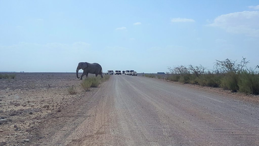 Etosha