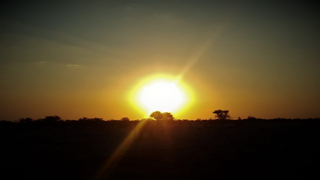 Okaukuejo waterhole