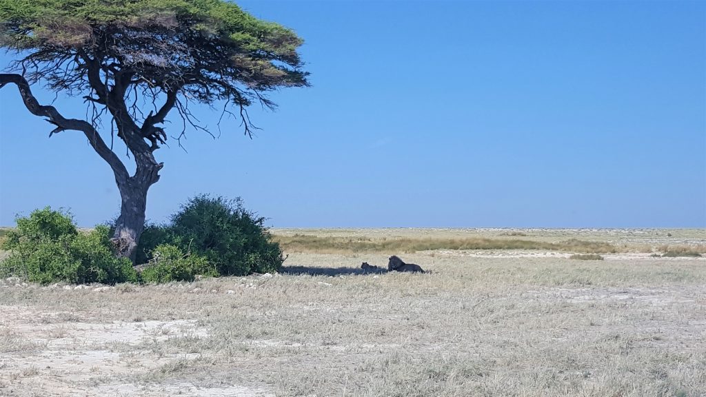 Etosha