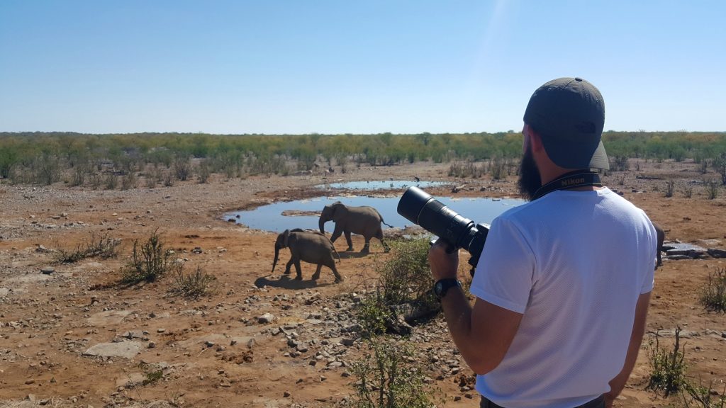 Halali waterhole