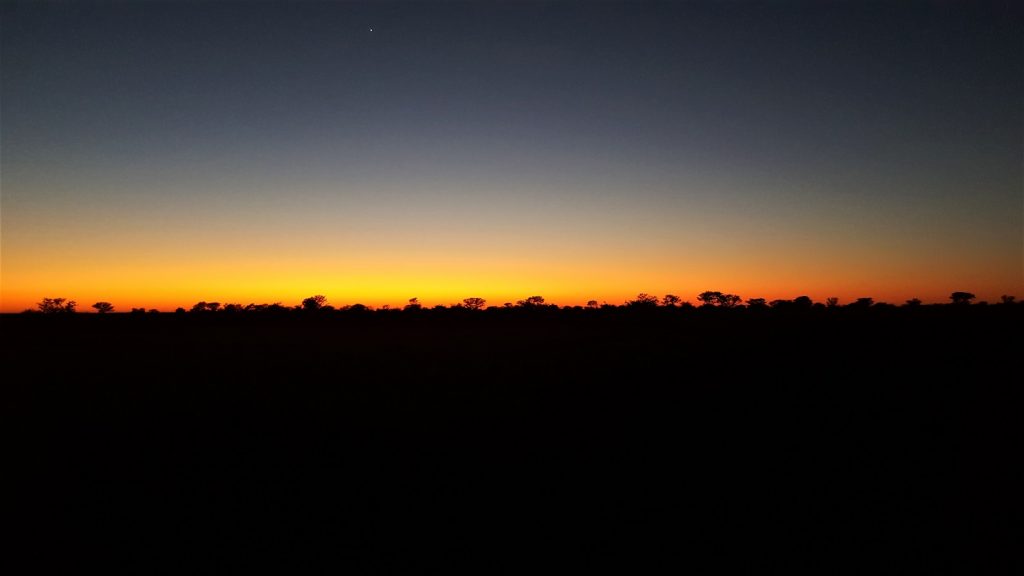 Morning Drive Etosha