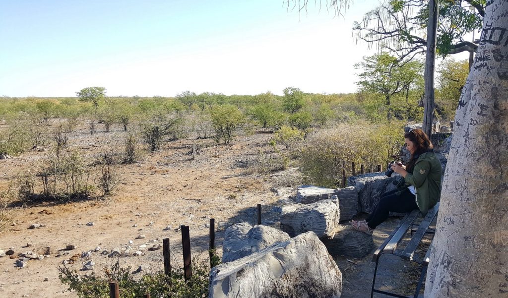 Halali waterhole