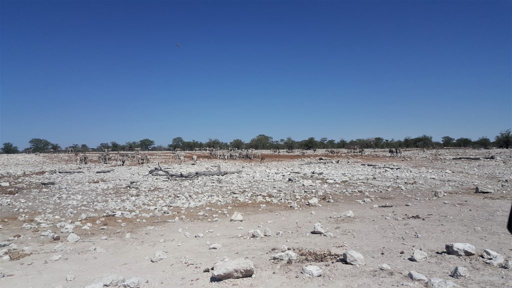 Etosha