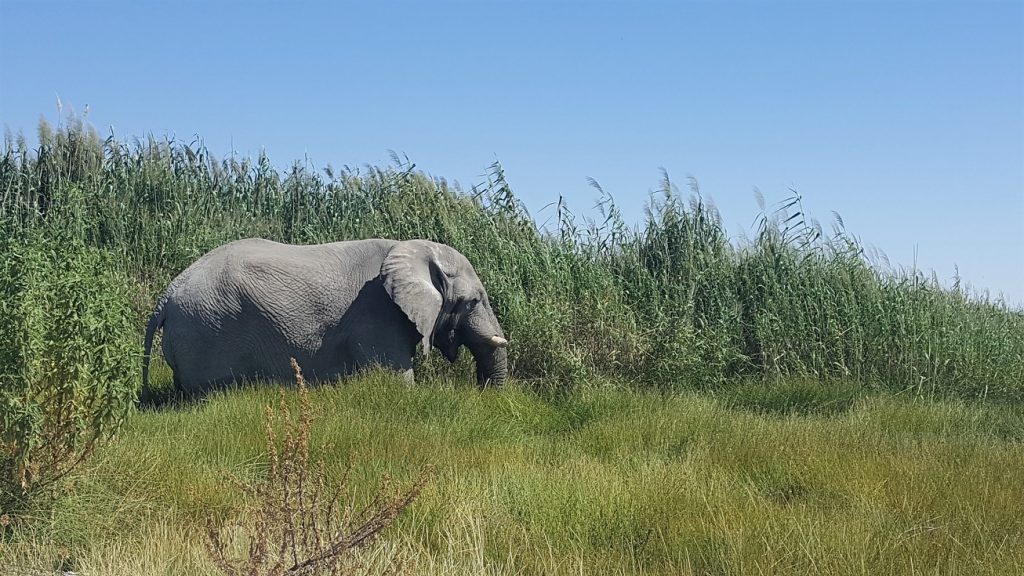 Namutoni Etosha