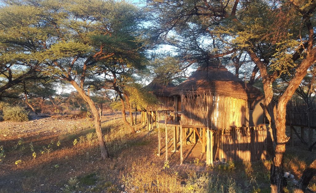 Onguma Tree Top