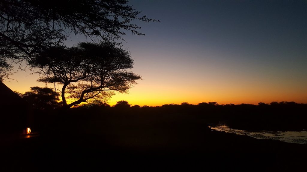 Onguma Tree Top