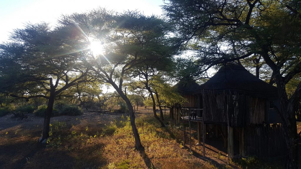 Onguma Tree Top